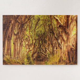 Les Sombres Haies Antrim Irlande. Jigsaw Puzzle