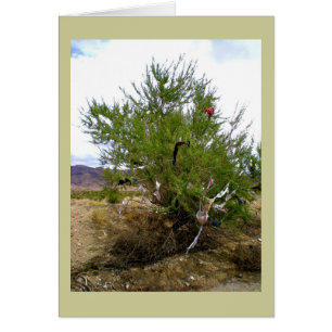 Les sous-vêtements de Bush de soutien-gorge