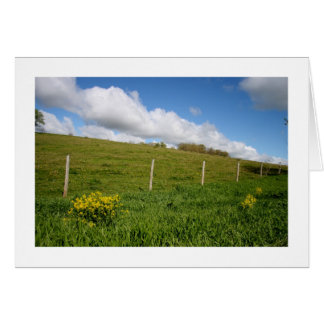 Les terres agricoles du Wisconsin