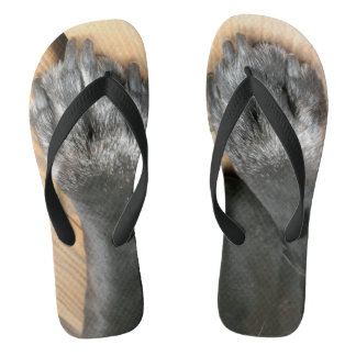 Les tongs de Doggy Paws