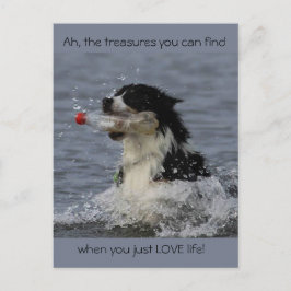 Les trésors de la vie, carte postale