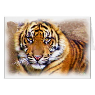 Les yeux qui voient_