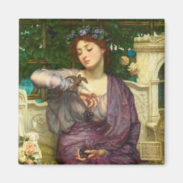 Lesbia und ihr Sparrow (von Edward John Poynter) Magnet