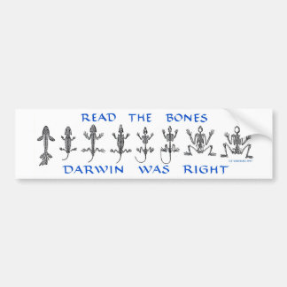 Lesen Sie die Knochen, Darwin hatte Recht Autoaufkleber
