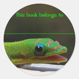 Lesereptil dieses Buch gehört Runder Aufkleber