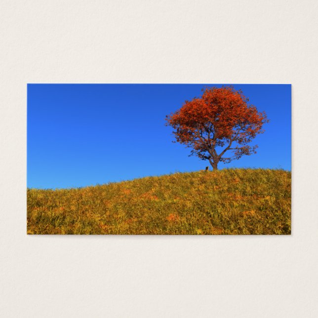 Lesezeichen des Herbsttages löschen (Vorderseite)