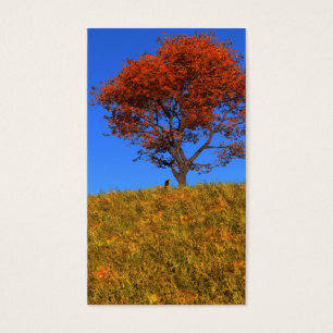 Lesezeichen des Herbsttages löschen
