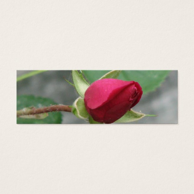 Lesezeichen für hübsche Rose (Vorderseite)
