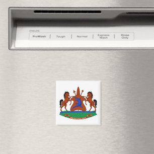 Lesotho Wappen Arme Flagge Land Symbol Heraldik Em Magnet
