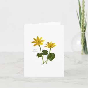 Lesser Celandine Karte