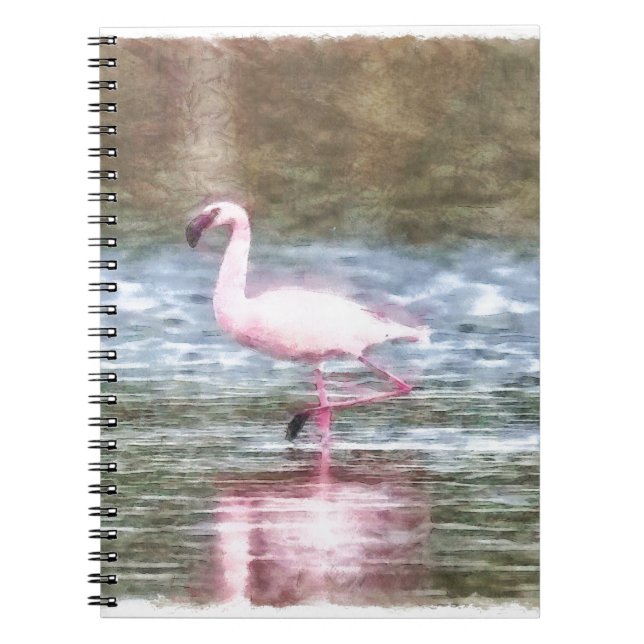 Lesser Flamingo Watercolor Notizblock (Vorderseite)