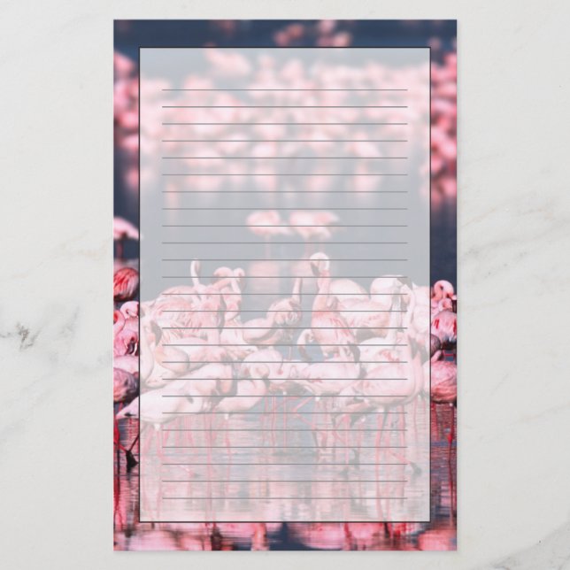 Lesser Flamingos (Phoeniconaias minor), Afrika, Briefpapier (Vorderseite)