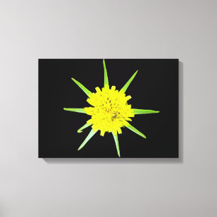 Lesser Goats-Bart wilde Blume Canvas Print Leinwanddruck