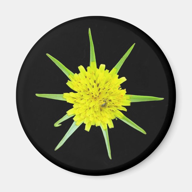 Lesser Goats-beard Wild Flower Magnet (Vorne)