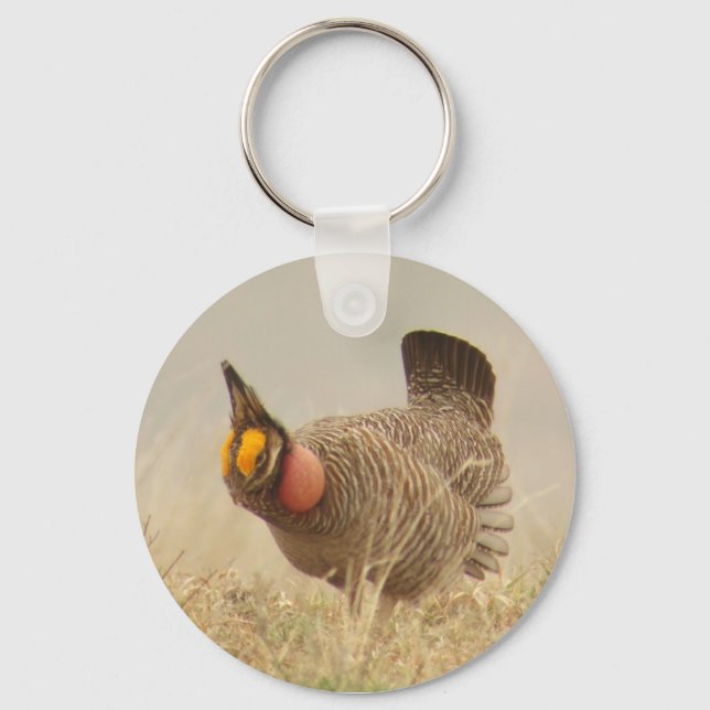 Lesser Prairie Chicken Schlüsselanhänger (Vorderseite)
