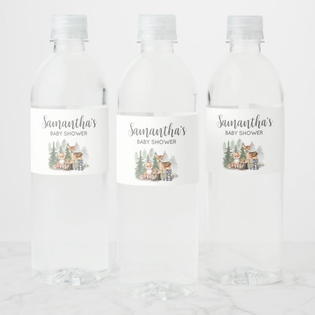 Let the Adventure Begin Baby Shower  (Flaschen)