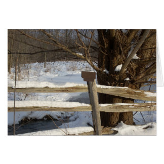 L'étang en hiver