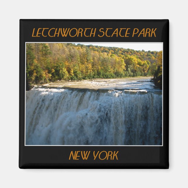 Letchworth Staat Park Middle Falls Magnet (Vorne)