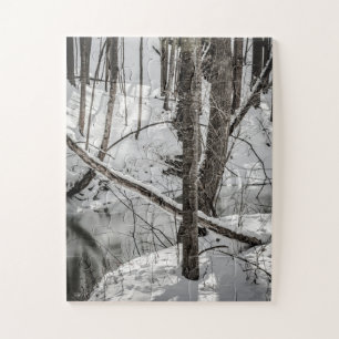 Letchworth Staats-Park-Schnee-Natur-Winter