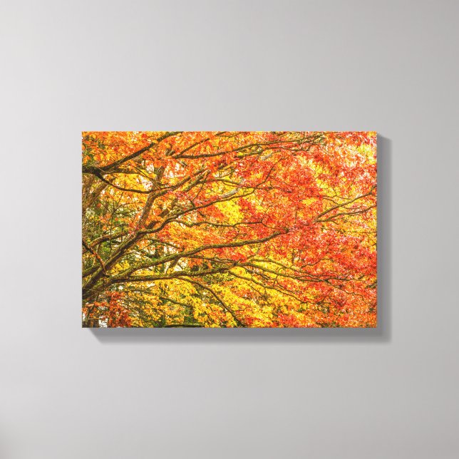 Letchworth Tree Branches Orange Nature Leinwand Pr (Vorderseite)