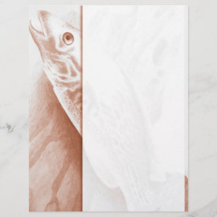 Letterhead