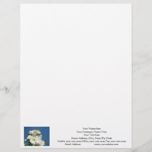 Letterhead Cherry Blossom Blue Sky Zoll Briefbogen