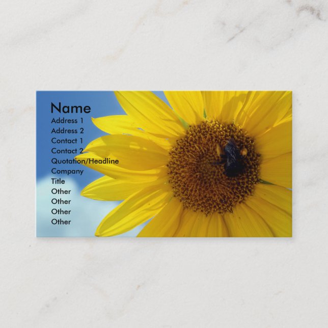 letthesunshine, Name, Adresse 1, Adresse 2, Visitenkarte (Vorderseite)