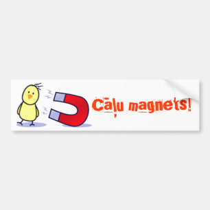 Lettischer Kükenmagnet Autoaufkleber