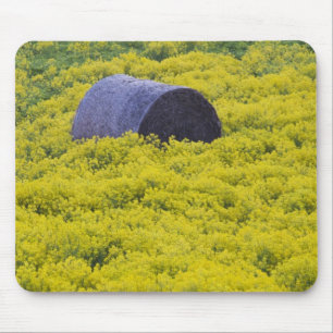 Lettland, Nordostletten, Vidzeme Region, 2 Mousepad
