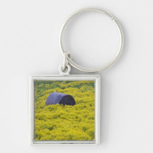 Lettland, Nordostlettland, Region Vidzeme, 2 Schlüsselanhänger