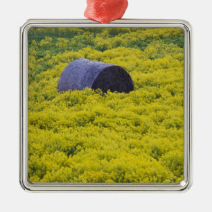 Lettland, Nordostlettland, Region Vidzeme, 2 Silbernes Ornament