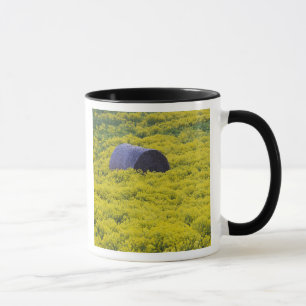 Lettland, Nordostlettland, Region Vidzeme, 2 Tasse