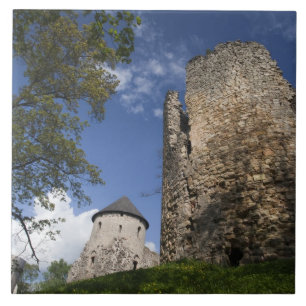 Lettland, Nordostlettland, Region Vidzeme, Fliese