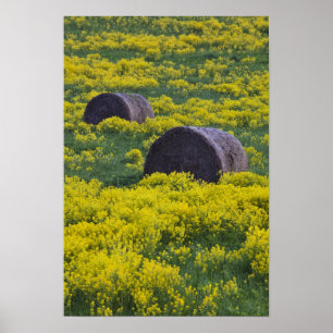 Lettland, Nordostlettland, Region Vidzeme, Poster