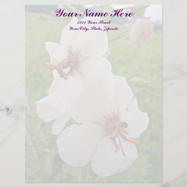 Lettre À En-tête Moth Mullein en-tête Fleur sauvage (Devant)