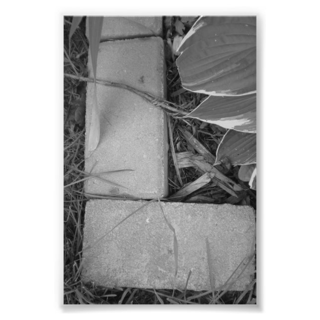 LETTRE Alphabet Photographie L5 Noir et Blanc 4x6 (Devant)