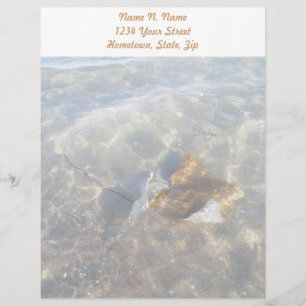 Lettre Customisée En-tête de la série OBX Cownose Stingray