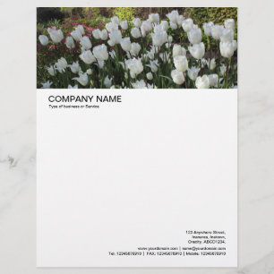 Lettre En-tête grande image - Lit de tulipes blanches