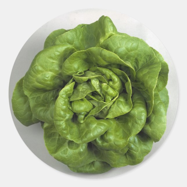 Lettuce Fresh Runder Aufkleber (Vorderseite)