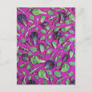 Lettuce-Grüntöne auf Lila Postkarte