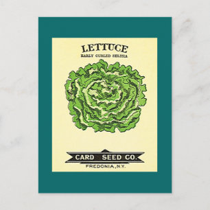 Lettuce Seeds Card Seed Company Postkarte