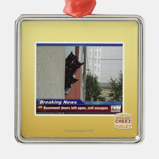 Letzte Nachrichten 2 Silbernes Ornament (Vorne)