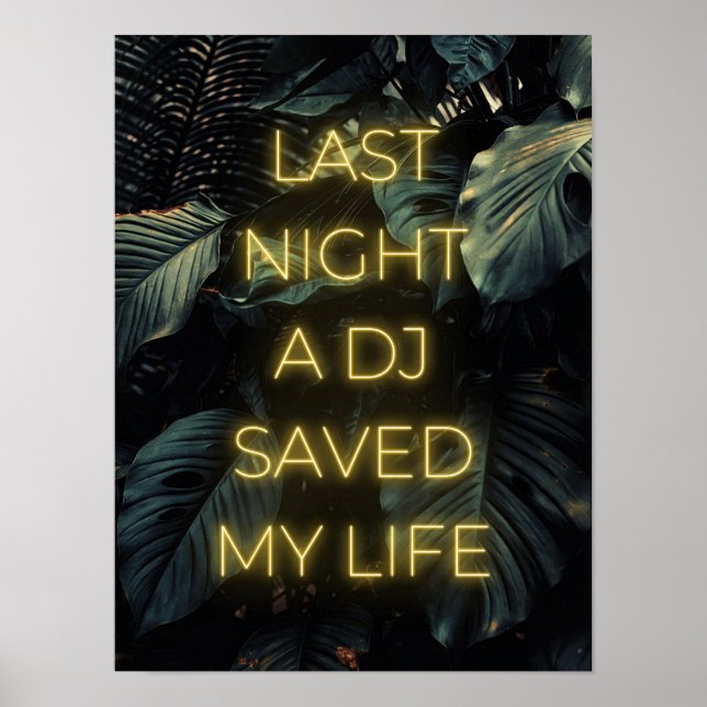"Letzte Nacht hat ein DJ mein Leben gerettet" Text Poster (Vorne)