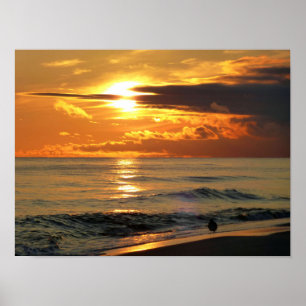 Letzter Sandpiper Poster