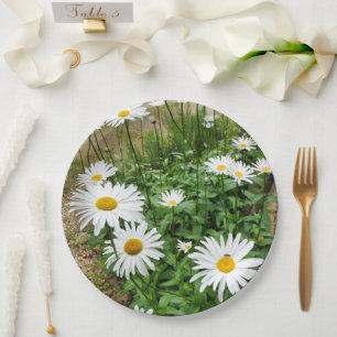 Leucanthemum Blooms Paper Plate Pappteller