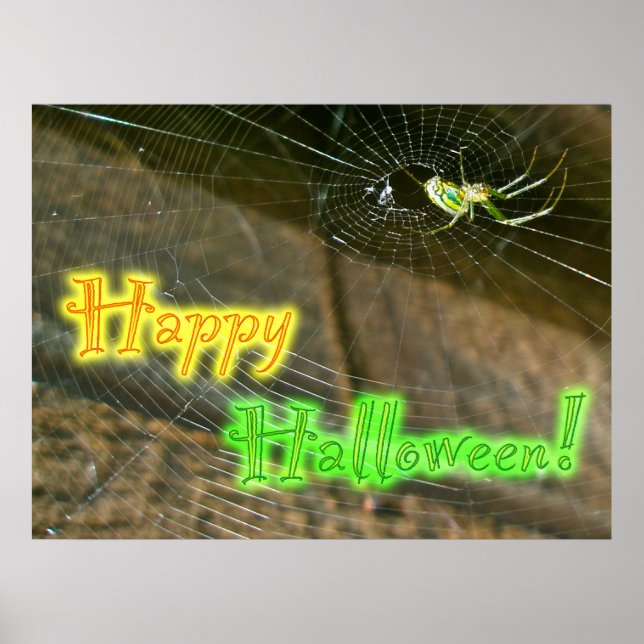 Leucauge Orb Weaver Halloween Poster (Vorne)
