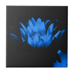 Leuchtend blaue Lotus-Blumen-Kunstfliese Fliese