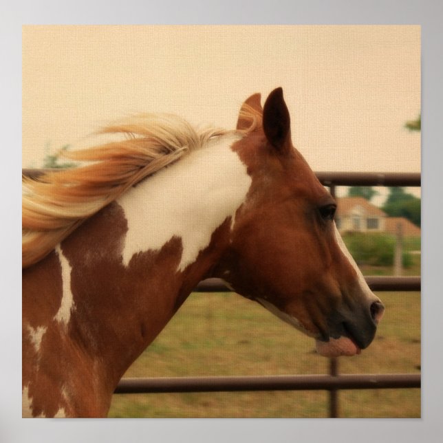 leuchtend poster (Vorne)