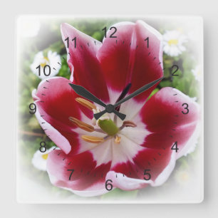 leuchtend rote Tulpe Quadratische Wanduhr