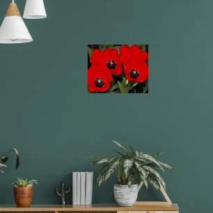 Leuchtend rote Tulpen Blumenfotografie Poster